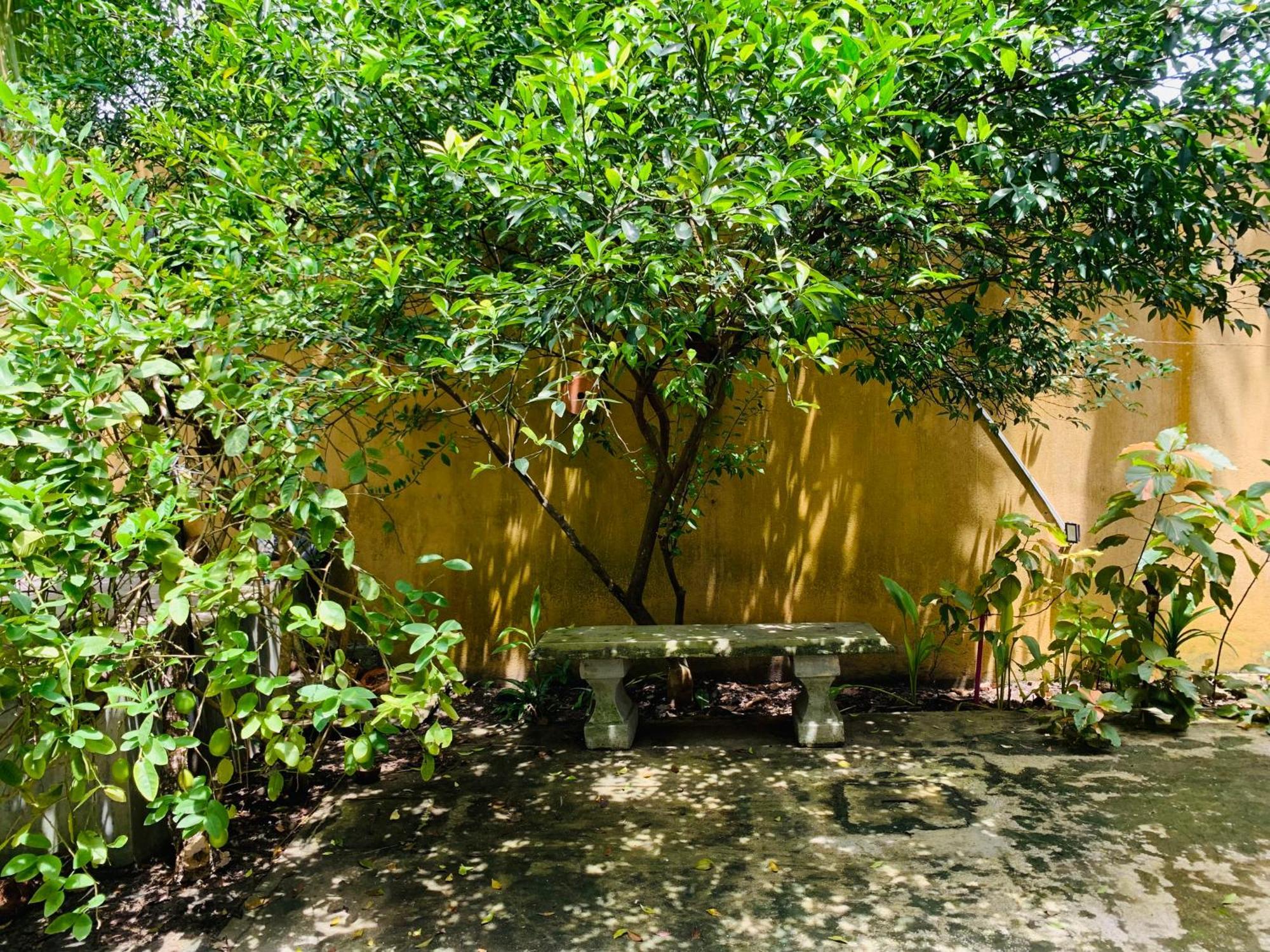 The Hostel Mirissa Bagian luar foto